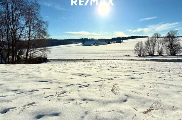 Grundstück kaufen in 4841 Ungenach (Bild 1)