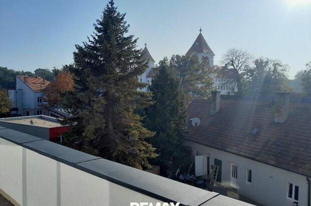 Terrassenwohnung kaufen in 2490 Ebenfurth (Bild 1)