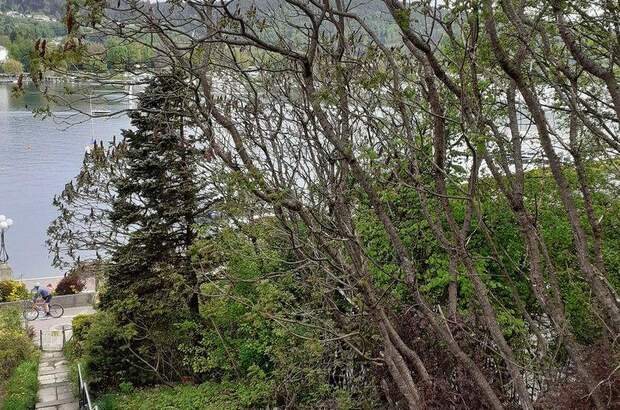 Ferienhaus mieten in 8020 Velden (Bild 1)