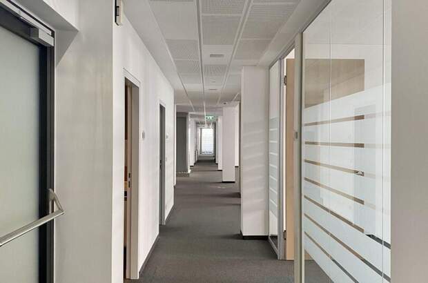 Gewerbeobjekt mieten in 1230 Wien (Bild 4)