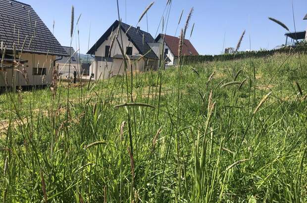 Grundstück kaufen in 8411 Hengsberg (Bild 2)