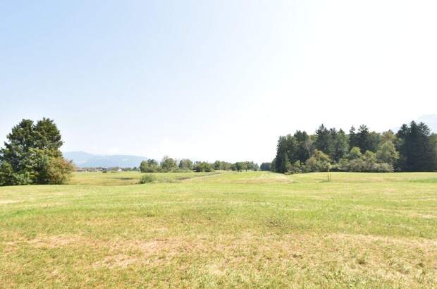 Gewerbeobjekt kaufen in 5020 Salzburg (Bild 2)