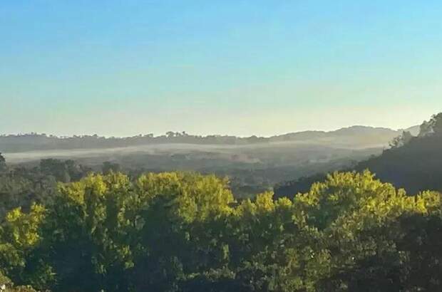 Haus kaufen (Bild 3)