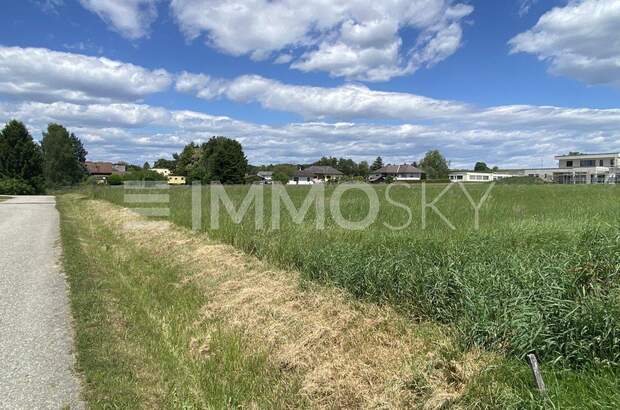 Grundstück kaufen in 7551 Stegersbach (Bild 2)