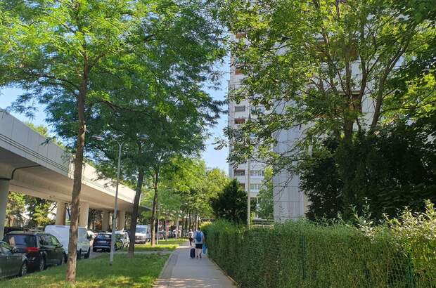 Wohnung mieten in 1220 Wien (Bild 3)