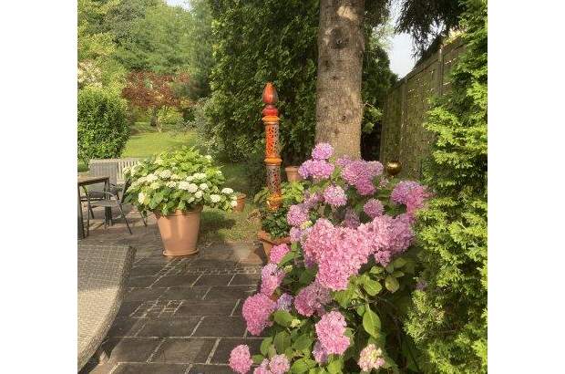 Haus kaufen in 8463 Leutschach (Bild 4)