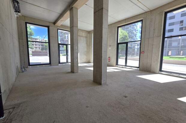 Gewerbeobjekt mieten in 8020 Graz (Bild 5)