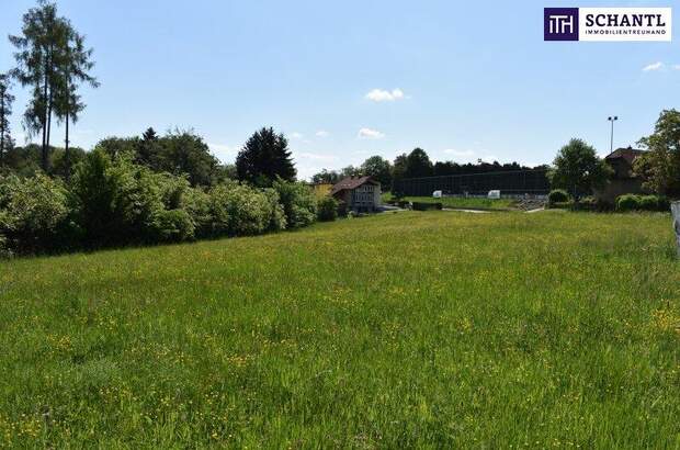 Grundstück kaufen in 8301 Laßnitzhöhe (Bild 1)