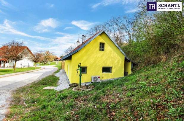 Haus kaufen in 8262 Hochenegg (Bild 1)