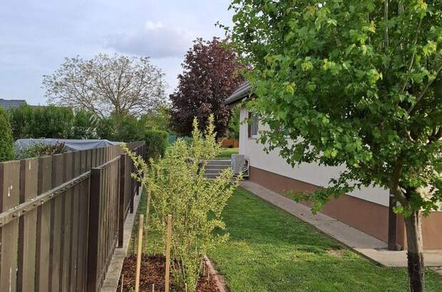 Haus mit Garten kaufen in 8654 Ságvár (Bild 4)