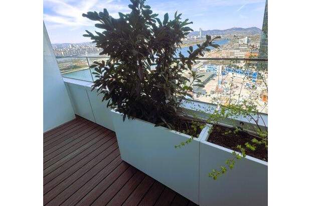 Terrassenwohnung mieten in 1220 Wien (Bild 4)