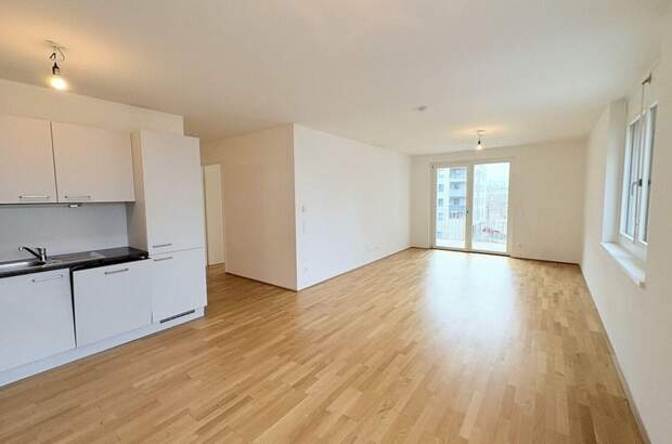 Wohnung mit Balkon mieten in 1230 Wien (Bild 1)