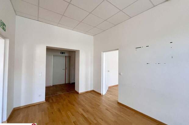 Gewerbeobjekt mieten in 2340 Mödling (Bild 5)