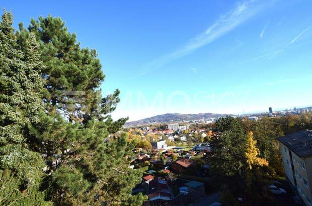 Terrassenwohnung kaufen in 4040 Linz (Bild 1)