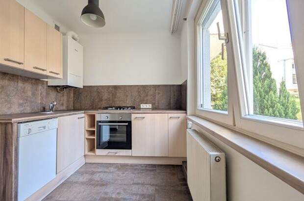 Terrassenwohnung mieten in 1230 Wien (Bild 3)