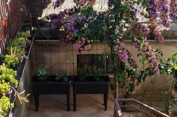 Altbauwohnung mit Balkon kaufen in 51415 Lovran (Bild 3)