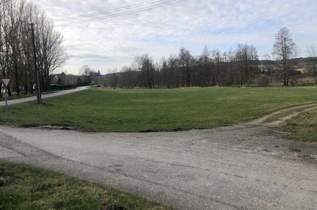 Gewerbeobjekt kaufen in 4760 Raab (Bild 1)