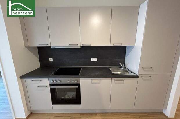 Terrassenwohnung mieten in 1200 Wien (Bild 3)