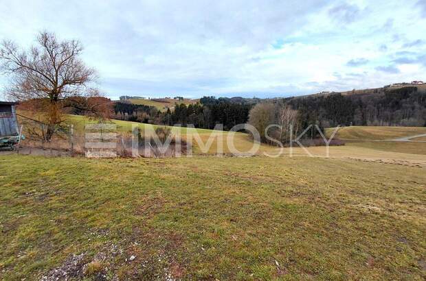 Bauernhaus kaufen in 4730 Waizenkirchen (Bild 3)