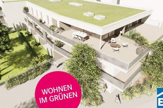 Terrassenwohnung kaufen in 7100 Neusiedl (Bild 1)