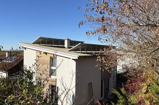 Haus mit Garten kaufen in 4201 Eidenberg (Bild 5)