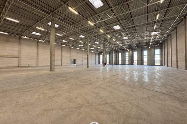 Gewerbeobjekt mieten in 4470 Enns (Bild 4)