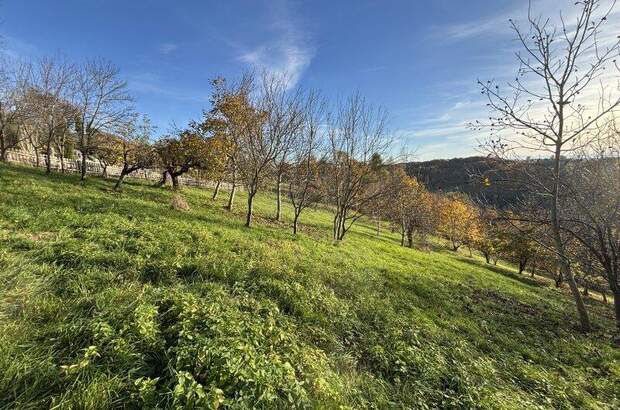 Grundstück kaufen in 8362 Ruppersdorf (Bild 4)