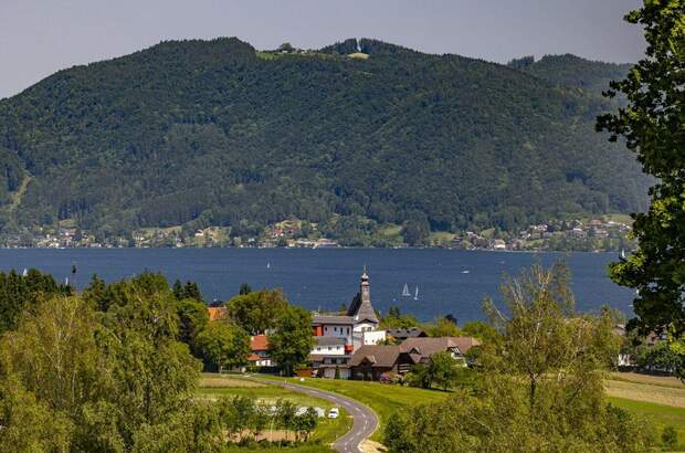 Grundstück kaufen in 4881 Straß (Bild 4)