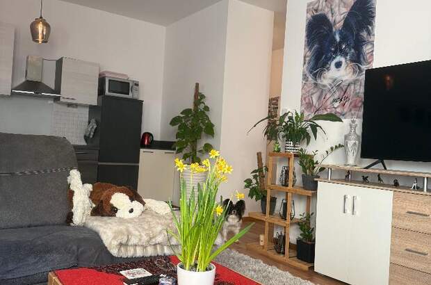 Wohnung kaufen in 6405 Pfaffenhofen (Bild 4)