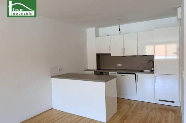 Terrassenwohnung mieten in 1100 Wien (Bild 1)