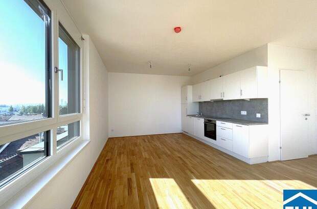 Terrassenwohnung kaufen in 1220 Wien (Bild 3)