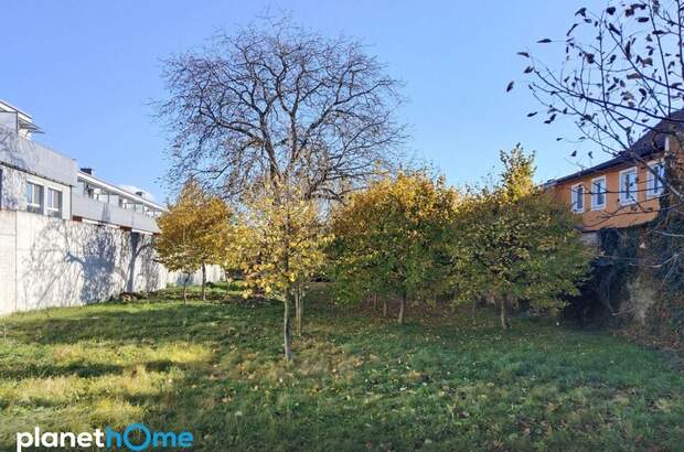 Grundstück kaufen in 2432 Schwadorf (Bild 2)