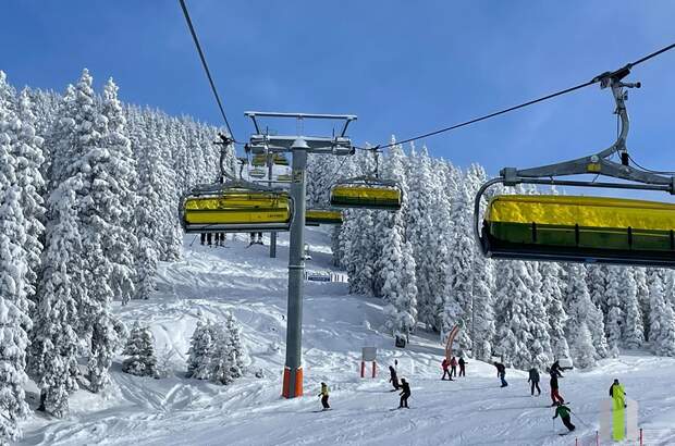 Mehrfamilienhaus kaufen in 8970 Schladming (Bild 2)