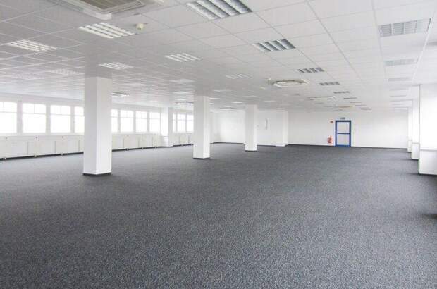 Büro / Praxis mieten in 2351 Wr. Neudorf (Bild 3)