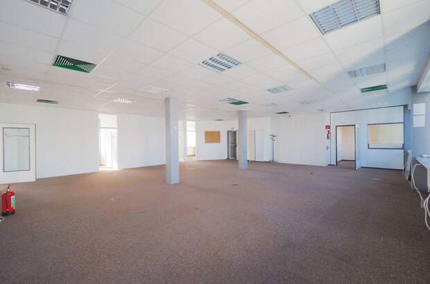 Gewerbeobjekt mieten in 2331 Vösendorf (Bild 4)