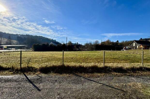 Grundstück kaufen in 8330 Oberweißenbach (Bild 4)