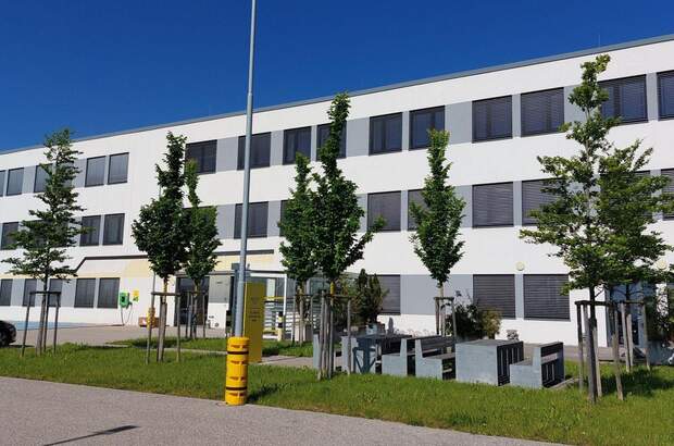 Gewerbeobjekt mieten in 4511 Allhaming (Bild 2)