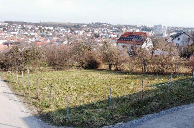 Grundstück kaufen in 7210 Mattersburg (Bild 1)