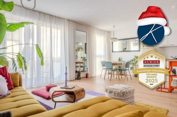 Terrassenwohnung kaufen in 3500 Krems (Bild 1)