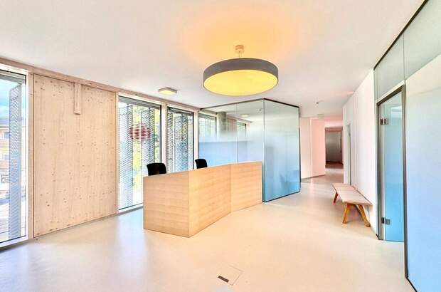 Gewerbeobjekt mieten in 5061 Elsbethen (Bild 5)