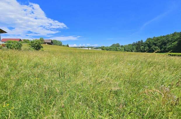 Grundstück kaufen in 8570 Voitsberg (Bild 1)