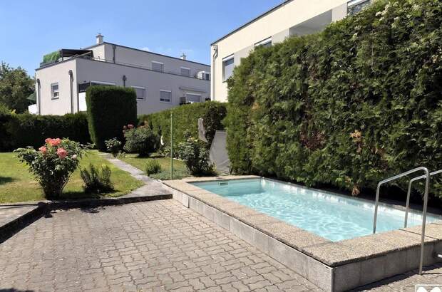 Haus mit Garten kaufen in 2525 Günselsdorf (Bild 5)