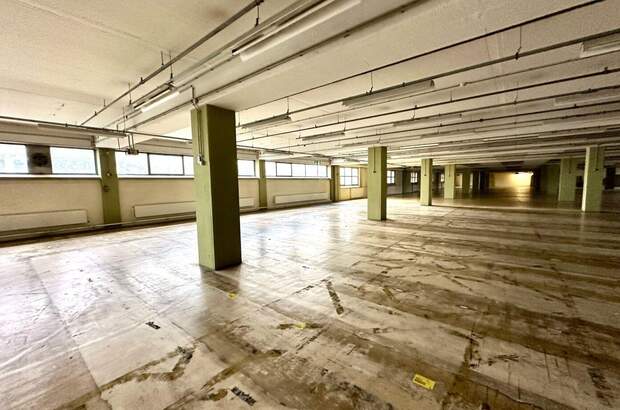 Gewerbeobjekt mieten in 8055 Graz (Bild 1)