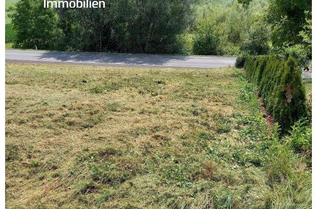 Grundstück kaufen in 8332 Edelsbach (Bild 3)