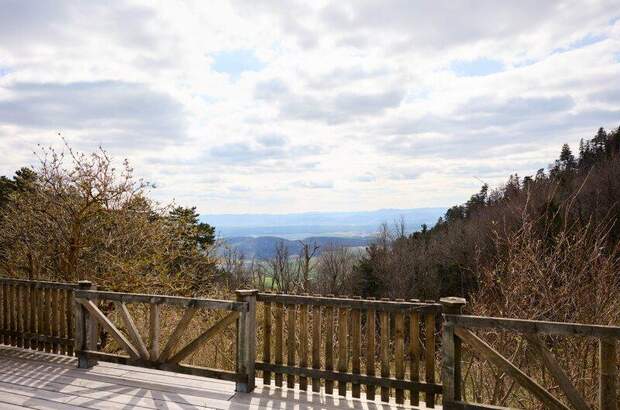 Chalet kaufen in 2724 Hohe Wand (Bild 3)