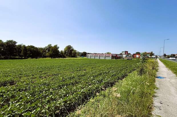 Gewerbeobjekt kaufen in 7400 Oberwart (Bild 3)