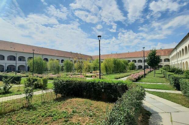 Wohnung mieten in 7100 Neusiedl (Bild 4)