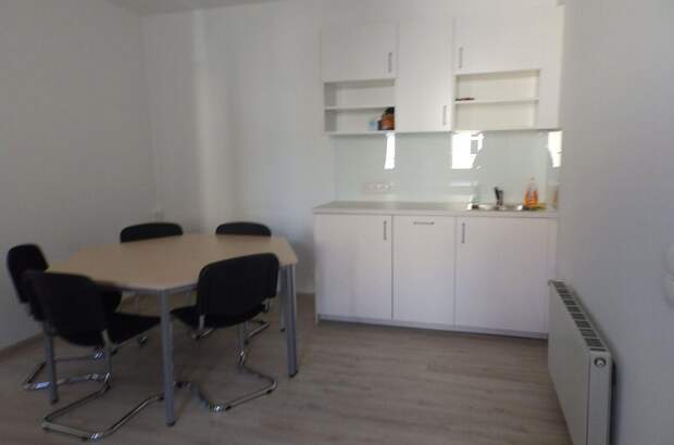 Gewerbeobjekt mieten in 4600 Wels (Bild 1)