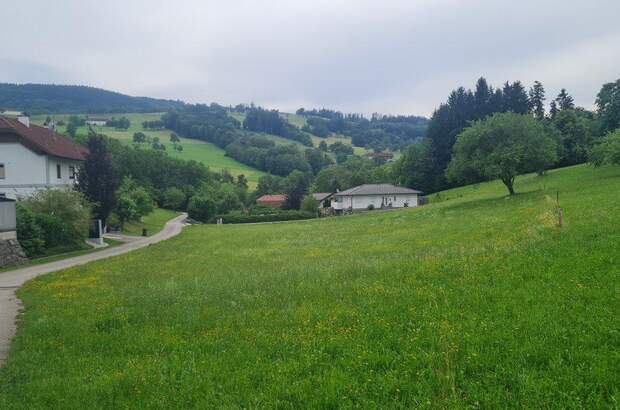 Grundstück kaufen in 3353 Seitenstetten (Bild 3)
