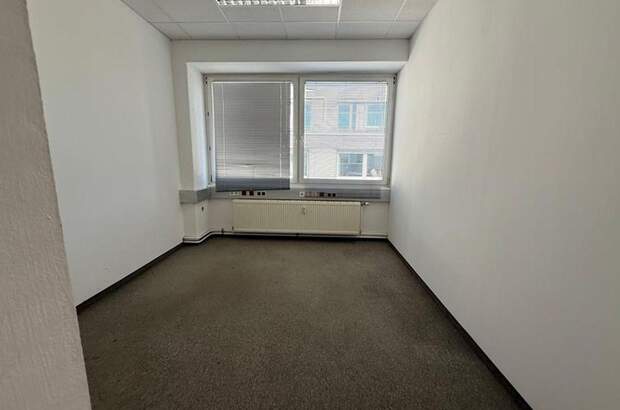 Gewerbeobjekt mieten in 1230 Wien (Bild 3)